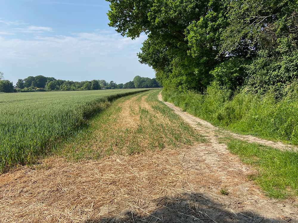 Thorpe Le Soken Walks Grange Farm Campsite Paths
